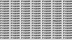 Observation Brain Test: If you have Hawk Eyes Find the Word Pigeon in 15 Secs