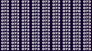 Observation Brain Test: If you have Keen Eyes Find the Number 078 among 073 in 15 Secs