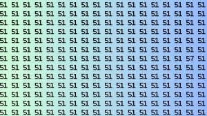 Observation Brain Test: If you have Keen Eyes Find the Number 57 among 51 in 15 Secs