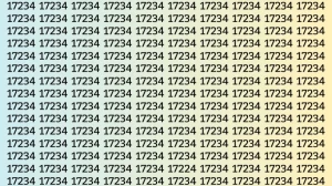 Observation Skill Test: Can you find the Number 17224 among 17234 in 12 Seconds?