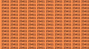 Observation Skill Test: Can you find the Number 23211 among 23411 in 12 Seconds?