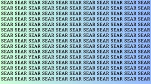 Observation Skill Test: Can you find the Word Year among Sear in 10 Seconds?