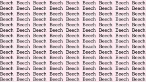 Observation Skill Test: If you have Eagle Eyes find the word Beach among Beech in 8 Secs