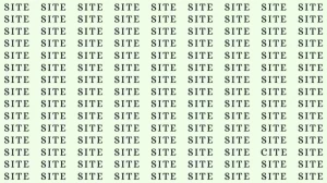 Observation Skill Test: If you have Eagle Eyes find the word Cite among Site in 15 Secs