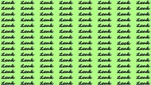 Observation Skill Test: If you have Eagle Eyes find the word Leek among Leak in 15 Secs