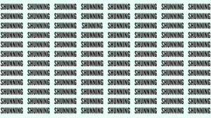 Observation Skill Test: If you have Eagle Eyes find the Word Shinning among Shunning in 20 Secs