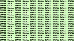 Observation Skill Test: If you have Eagle Eyes find the Word Smell among Small in 12 Secs