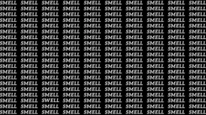 Observation Skill Test: If you have Eagle Eyes find the Word Swell among Smell in 10 Secs