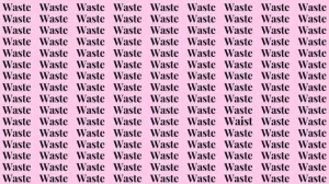 Observation Skill Test: If you have Eagle Eyes find the word Waist among Waste in 11 Secs