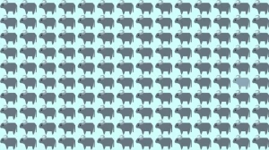 Observation Skills Test: Can you find the odd Buffalo within 12 seconds?