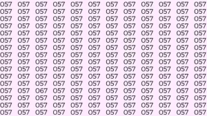 Optical Illusion: Can you find 067 among 057 in 5 Seconds? Explanation and Solution to the Optical Illusion