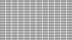 Optical Illusion: Can you find 2024 among 2023 in 10 Seconds? Explanation and Solution to the Optical Illusion