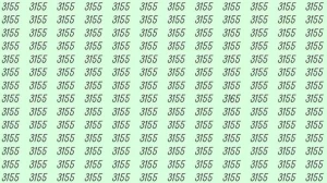 Optical Illusion: Can you find 3165 among 3155 in 8 Seconds? Explanation and Solution to the Optical Illusion