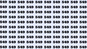 Optical Illusion: Can you find 349 among 549 in 5 Seconds? Explanation and Solution to the Optical Illusion