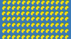 Optical Illusion: Can you find the Odd Lemon within 5 Seconds?