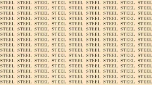 Optical Illusion: Can you find the word Steal among Steel in 7 Secs