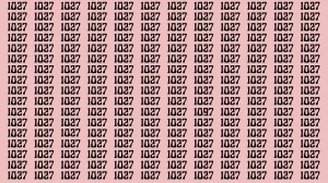 Optical Illusion: If you have eagle eyes find 1097 among 1027 in 10 Seconds?