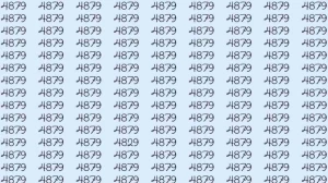 Optical Illusion: If you have eagle eyes find 4829 among 4879 in 5 Seconds?