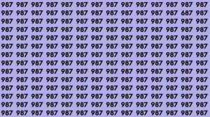 Optical Illusion: If you have eagle eyes find 687 among 987 in 10 Seconds?