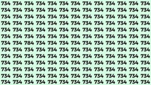 Optical Illusion: If you have eagle eyes find 784 among 734 in 8 Seconds?