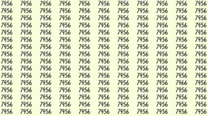 Optical Illusion: If you have eagle eyes find 7966 among 7956 in 8 Seconds?