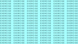 Optical Illusion: If you have Eagle Eyes find the word Exorcise among Exercise in 12 Secs