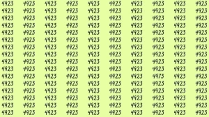 Optical Illusion: If you have hawk eyes find 4973 among 4923 in 10 Seconds?