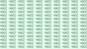 Optical Illusion: If you have hawk eyes find 4992 among 4902 in 10 Seconds?