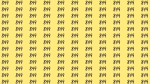 Optical Illusion: If you have hawk eyes find 899 among 849 in 7 Seconds?