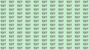 Optical Illusion: If you have hawk eyes find 9059 among 9069 in 10 Seconds?