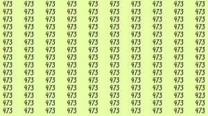 Optical Illusion: If you have hawk eyes find 923 among 973 in 7 Seconds?