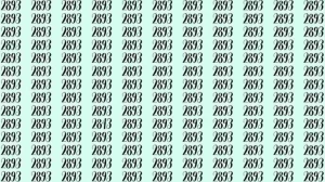 Optical Illusion: If you have sharp eyes find 2843 among 2893 in 15 Seconds?