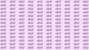 Optical Illusion: If you have sharp eyes find 4345 among 4845 in 06 Seconds?