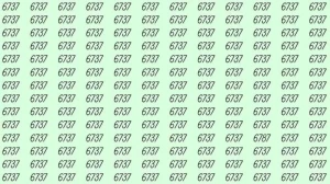 Optical Illusion: If you have sharp eyes find 6787 among 6737 in 6 Seconds?