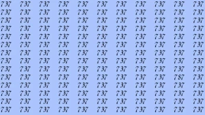 Optical Illusion: If you have sharp eyes find 787 among 737 in 6 Seconds?