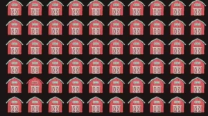 Optical Illusion Vision Test: Can you find the Different Barn?