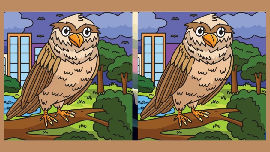 Spot the Difference: Can You Find the Difference Between Two Images Within 15 Seconds?