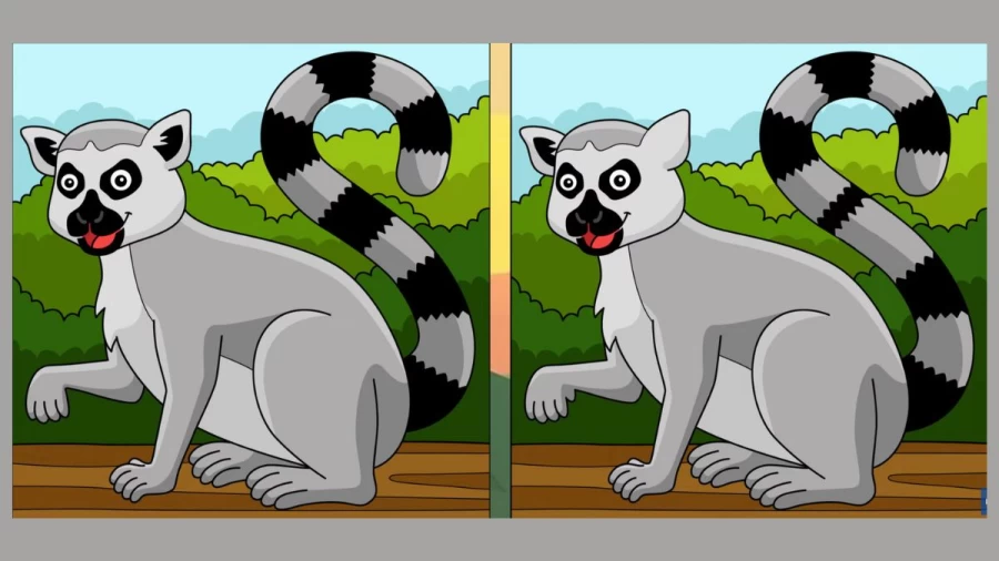 Spot the difference: Can you Spot 3 Differences in these Pictures? Picture Puzzle