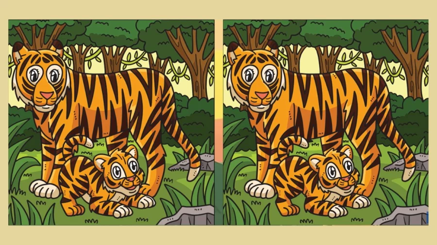 Spot the difference Game: Only a genius can find the 3 differences in less than 20 seconds!