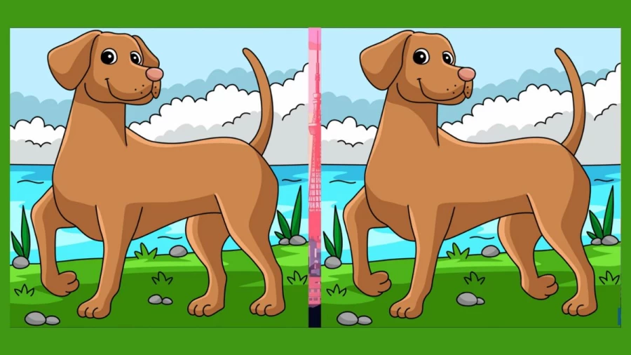 Spot the difference game: Only a genius can find the 3 differences in less than 30 seconds!