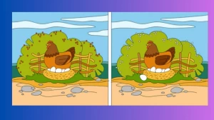 Spot the Difference Game: Only a Genius Can Find the 5 Differences in less than 30 seconds!