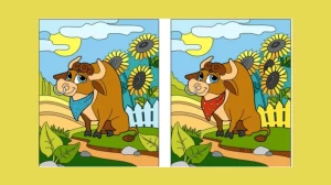 Spot the Difference Game: Only a Genius can Find the 5 Differences in less than 30 seconds!