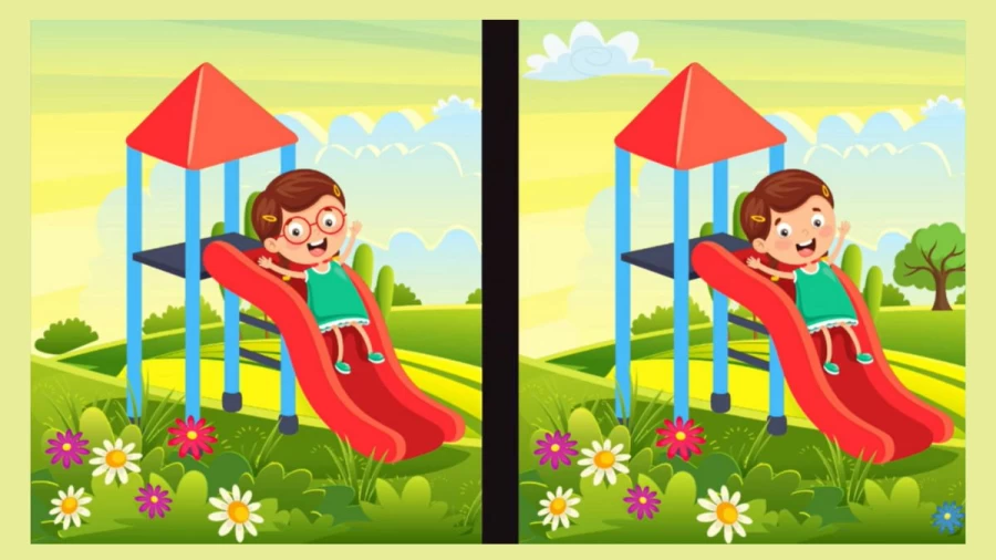 Spot the difference Game: Only a genius can find the 5 differences in less than 30 seconds!