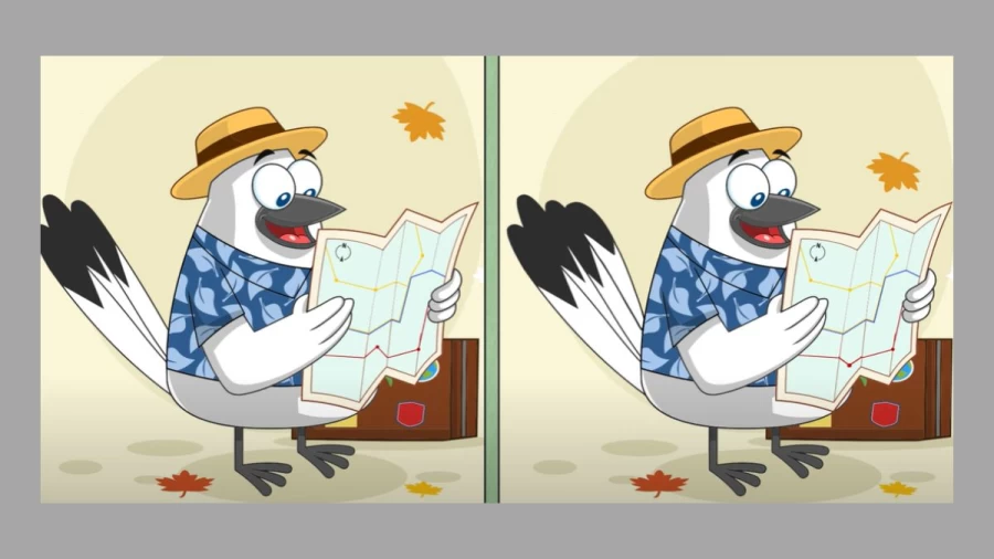 Spot the Difference: Only a Genius Can Find the 3 Differences in Less Than 20 Seconds!