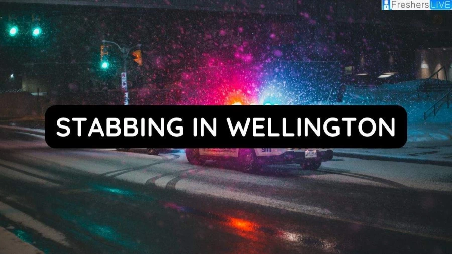 Stabbing in Wellington: Police Launched Investigation