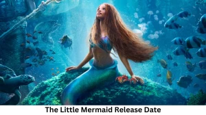 The Little Mermaid Movie Release Date and Time 2023, Countdown, Cast, Trailer, and More!