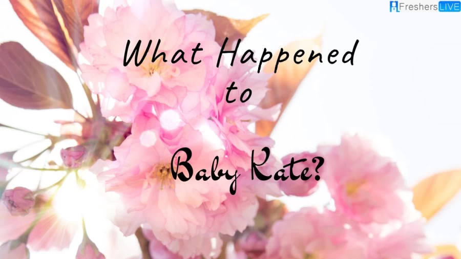 What Happened to Baby Kate? Did She Get Found?