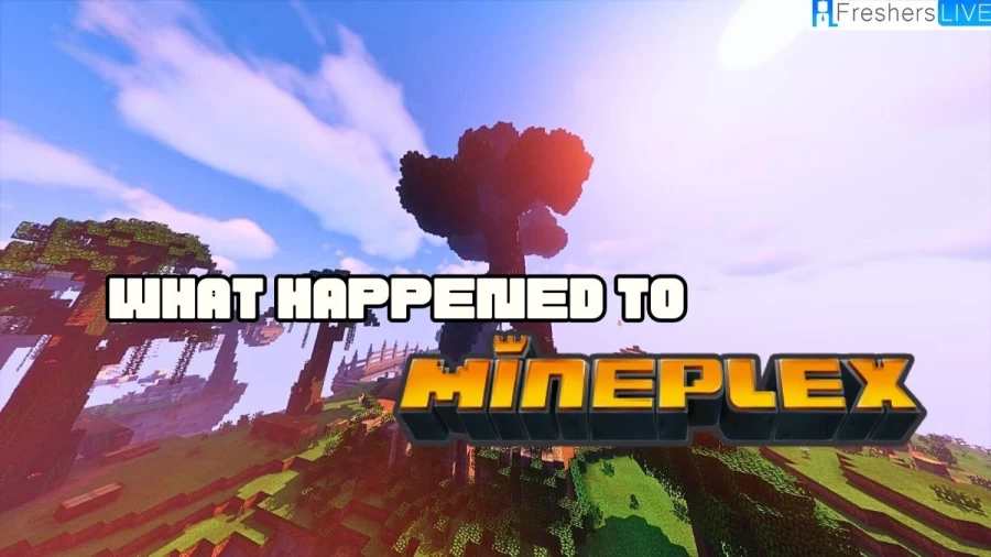 What Happened to Mineplex? Is Mineplex Shutting Down?