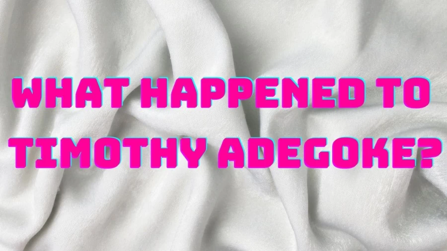 What Happened to Timothy Adegoke? Who was Timothy Adegoke? Timothy Adedoy Latest News