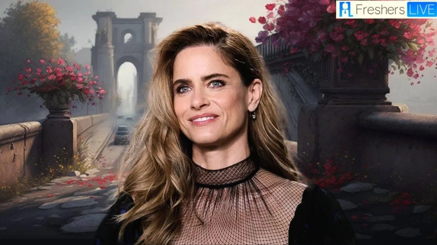 Who is Amanda Peet Married to? Know about Her Husband